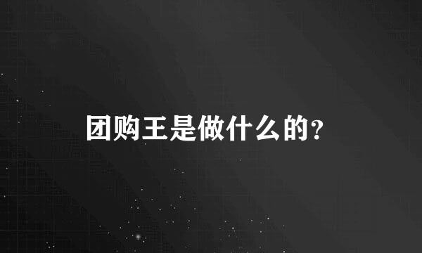 团购王是做什么的？