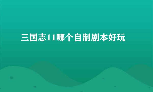 三国志11哪个自制剧本好玩