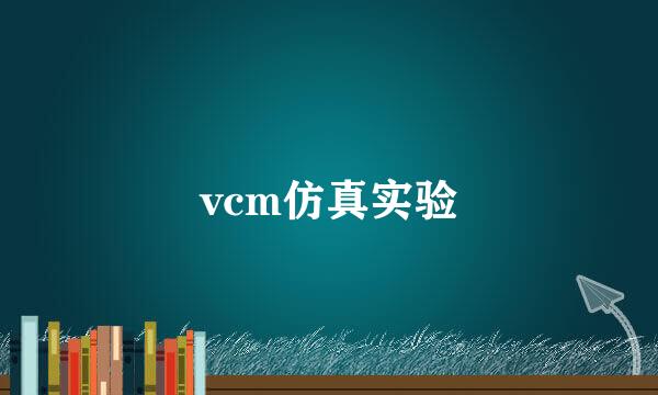 vcm仿真实验