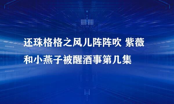 还珠格格之风儿阵阵吹 紫薇和小燕子被醒酒事第几集