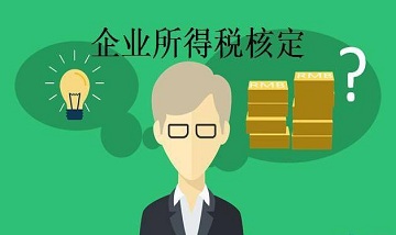 企业所得税核定征收鉴定表怎么填