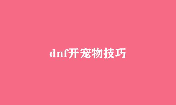 dnf开宠物技巧