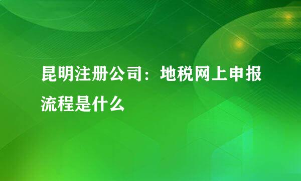 昆明注册公司：地税网上申报流程是什么