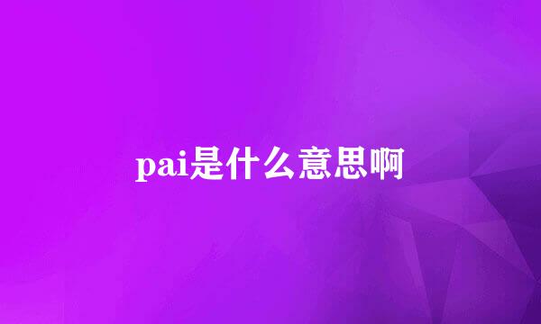 pai是什么意思啊