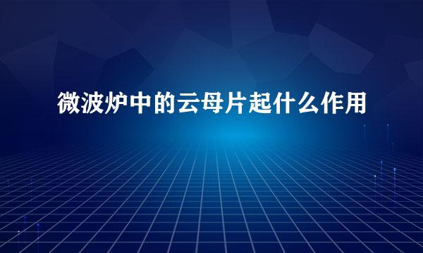 微波炉中的云母片起什么作用