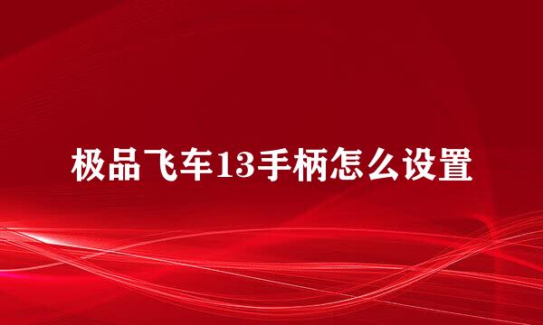 极品飞车13手柄怎么设置