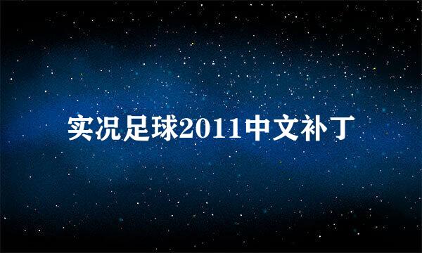 实况足球2011中文补丁