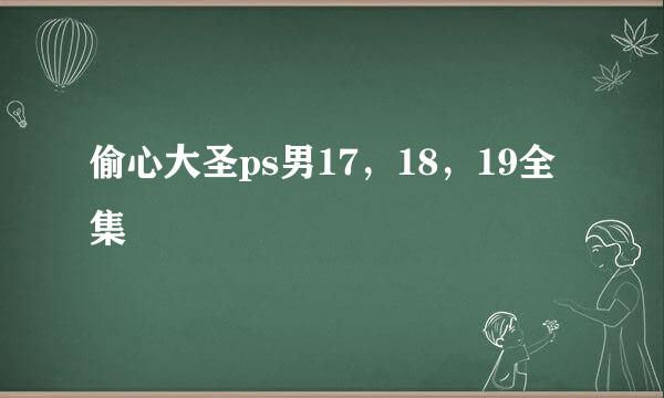 偷心大圣ps男17，18，19全集