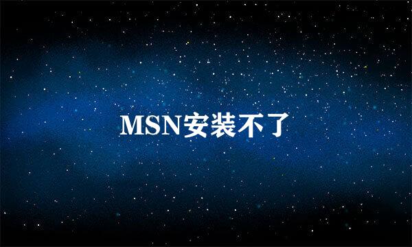 MSN安装不了