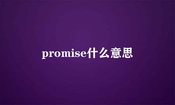 promise什么意思