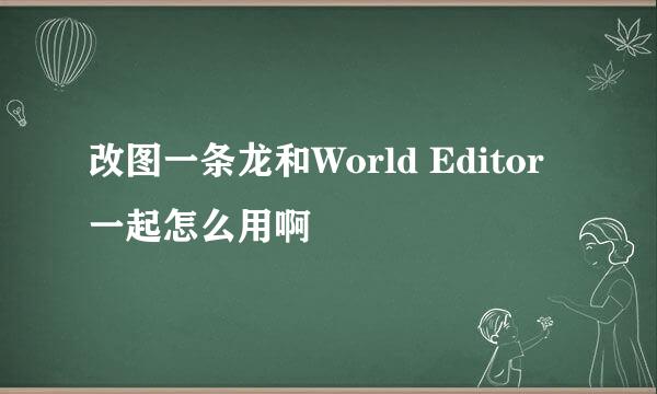 改图一条龙和World Editor一起怎么用啊