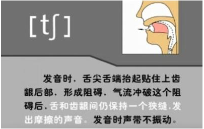 辅音字母有哪些?