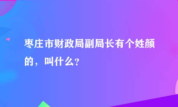 枣庄市财政局副局长有个姓颜的，叫什么？