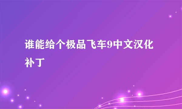 谁能给个极品飞车9中文汉化补丁