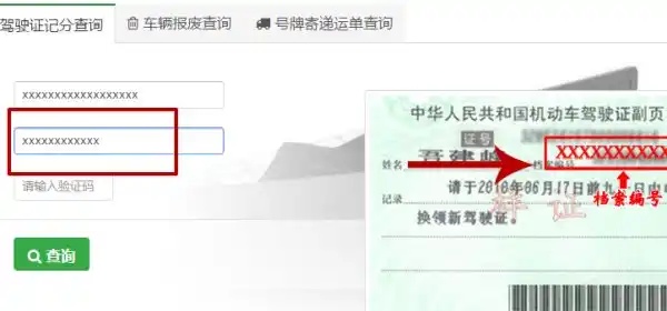 怎么查驾驶证状态？个人驾驶证状态如何查询