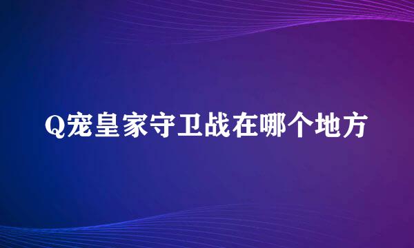 Q宠皇家守卫战在哪个地方