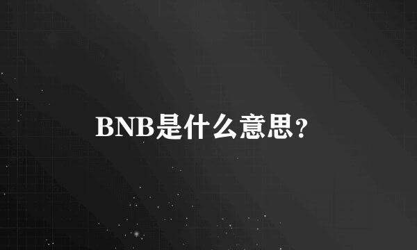 BNB是什么意思？