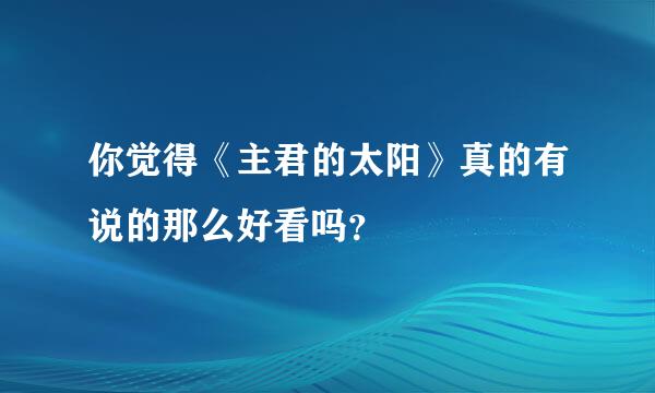 你觉得《主君的太阳》真的有说的那么好看吗？