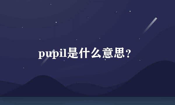 pupil是什么意思？