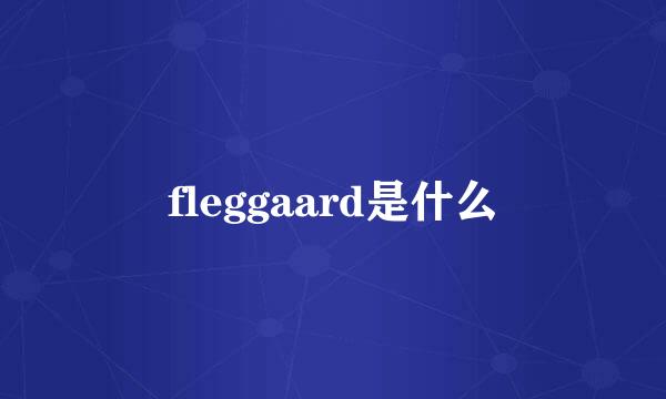 fleggaard是什么