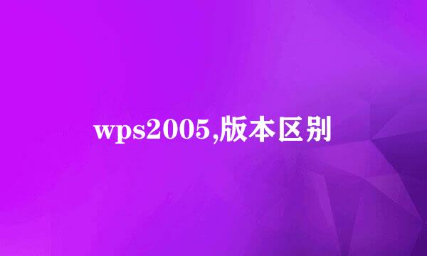 wps2005,版本区别