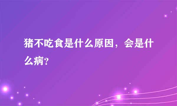 猪不吃食是什么原因，会是什么病？