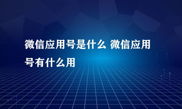 微信应用号是什么 微信应用号有什么用