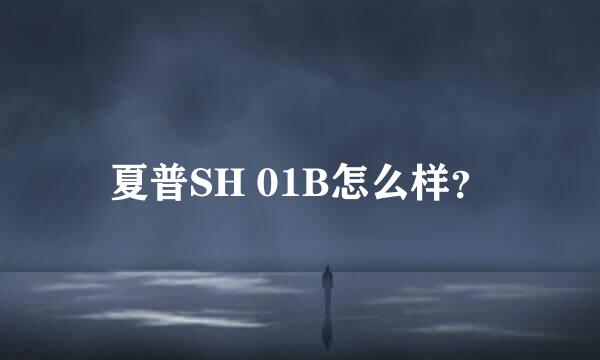 夏普SH 01B怎么样？