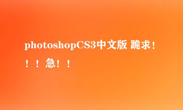 photoshopCS3中文版 跪求！！！急！！