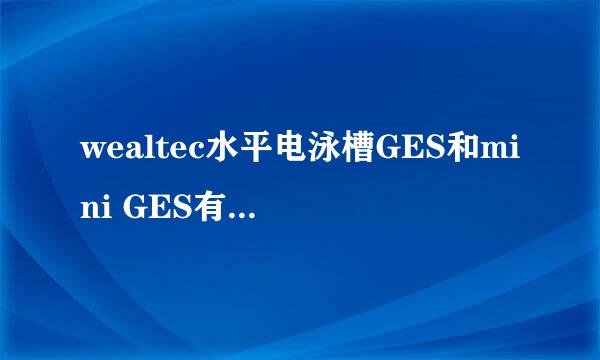 wealtec水平电泳槽GES和mini GES有啥区别？怎么选？