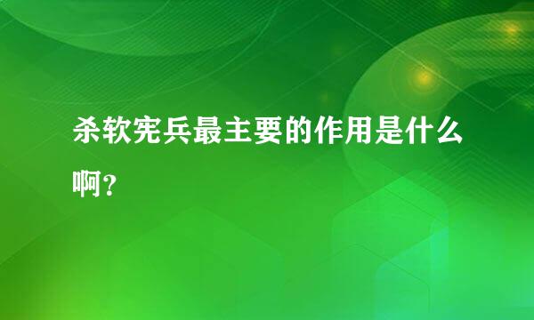 杀软宪兵最主要的作用是什么啊？