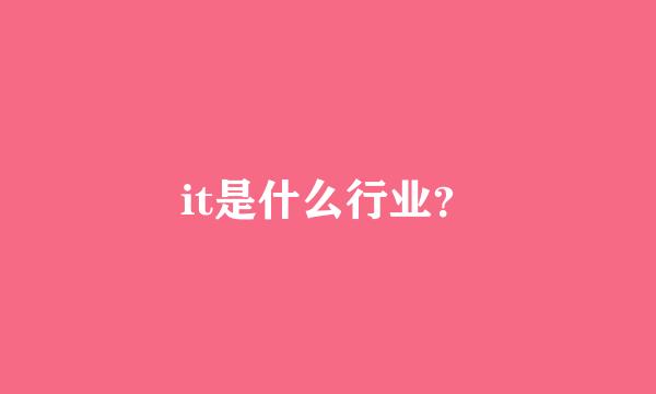 it是什么行业？