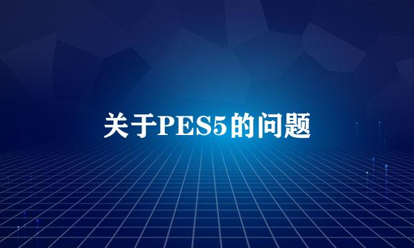 关于PES5的问题