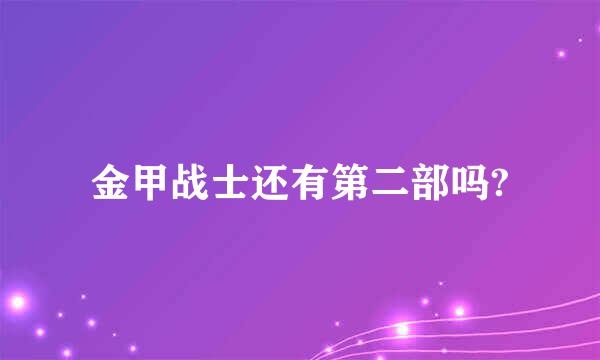 金甲战士还有第二部吗?