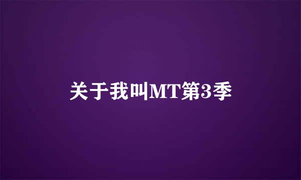 关于我叫MT第3季