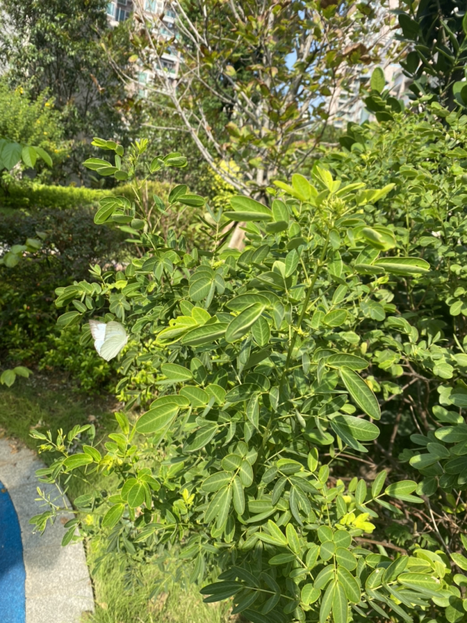 学英语要花多少钱？