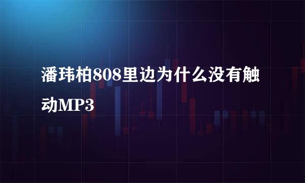 潘玮柏808里边为什么没有触动MP3