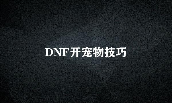 DNF开宠物技巧