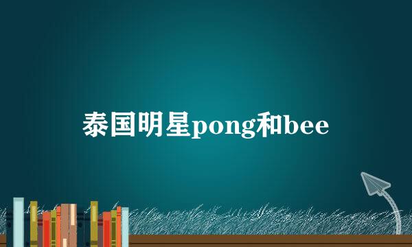 泰国明星pong和bee