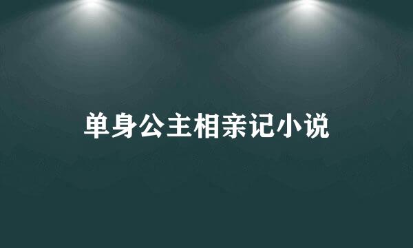 单身公主相亲记小说