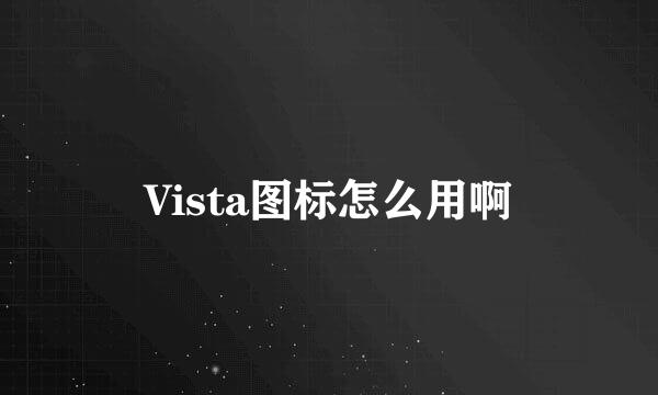 Vista图标怎么用啊