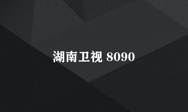 湖南卫视 8090