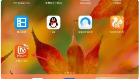 ipad芒果tv弹幕按钮不见了怎么办？