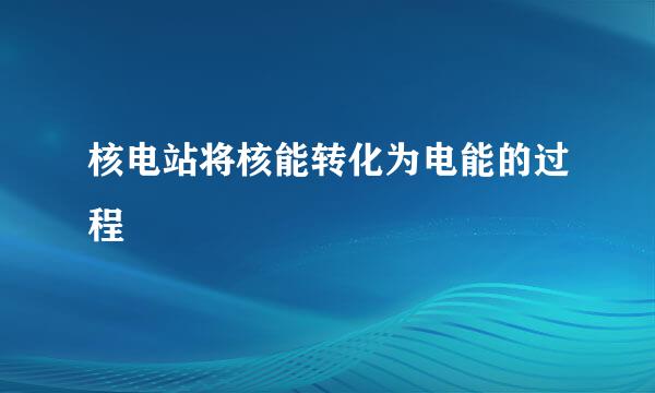 核电站将核能转化为电能的过程