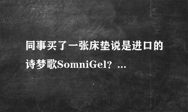 同事买了一张床垫说是进口的诗梦歌SomniGel？没听过什么牌子？