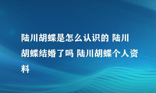 陆川胡蝶是怎么认识的 陆川胡蝶结婚了吗 陆川胡蝶个人资料