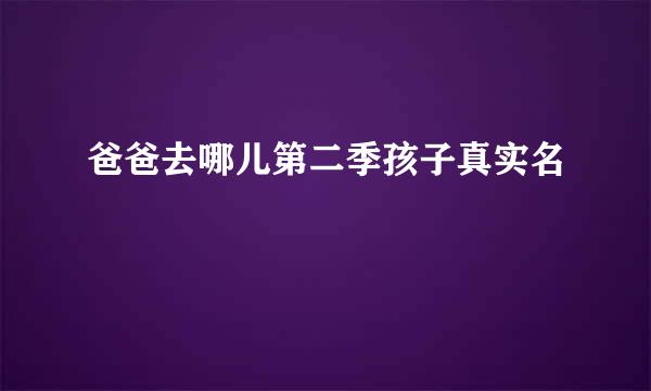 爸爸去哪儿第二季孩子真实名