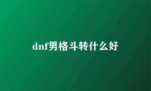 dnf男格斗转什么好