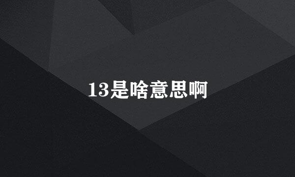 13是啥意思啊