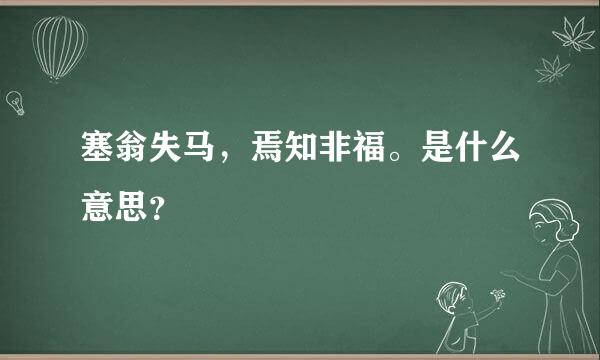 塞翁失马，焉知非福。是什么意思？